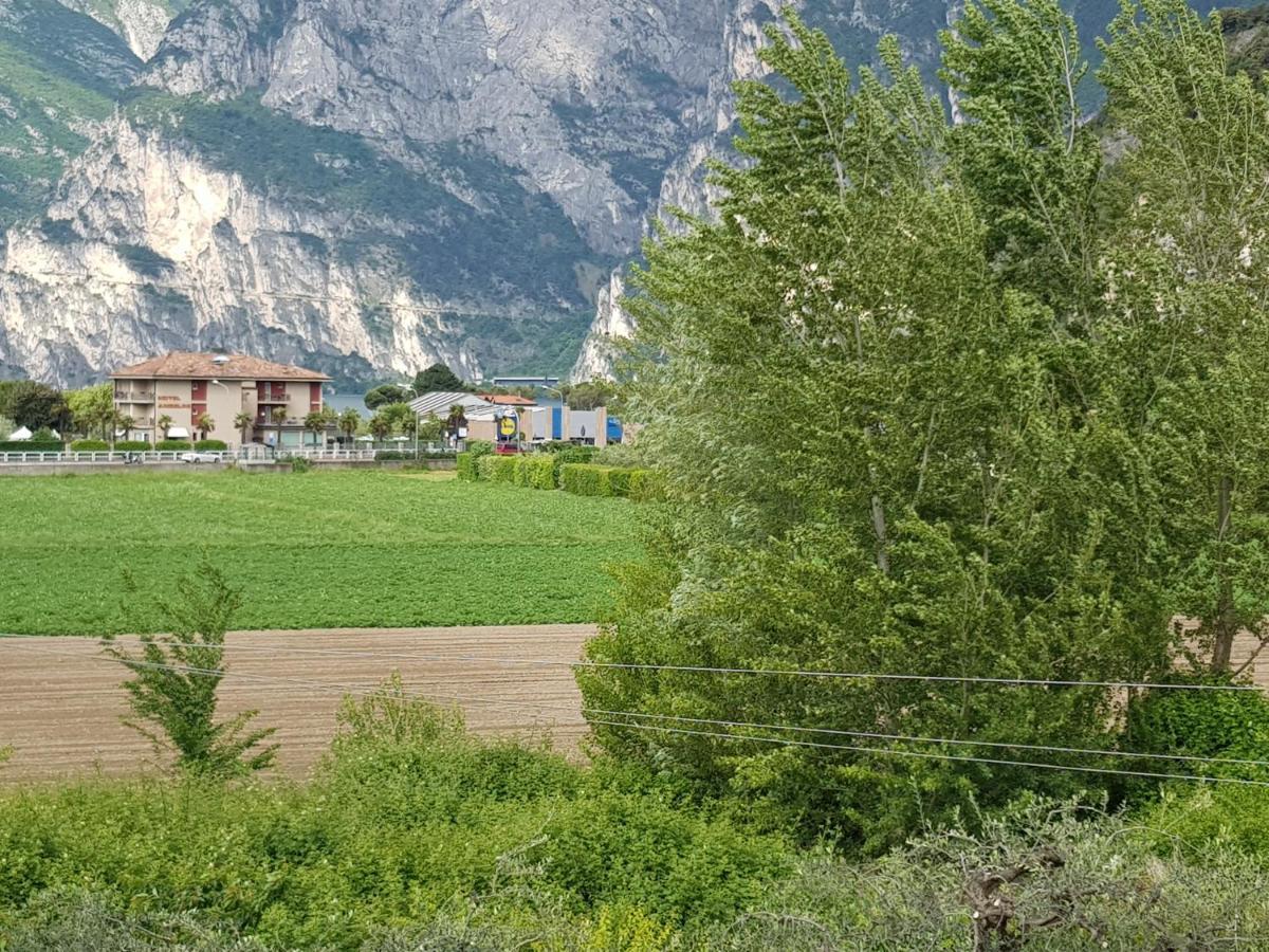 Apartment Conca D'oro *